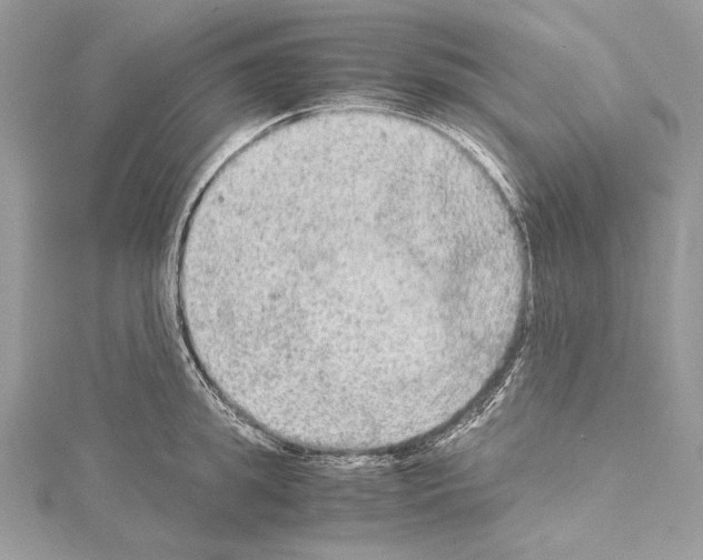 X0000114680949200912021112