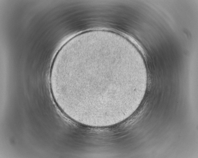 X0000114680951200912021112