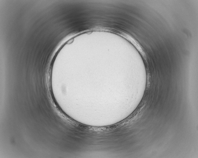 X0000114680955200912021112
