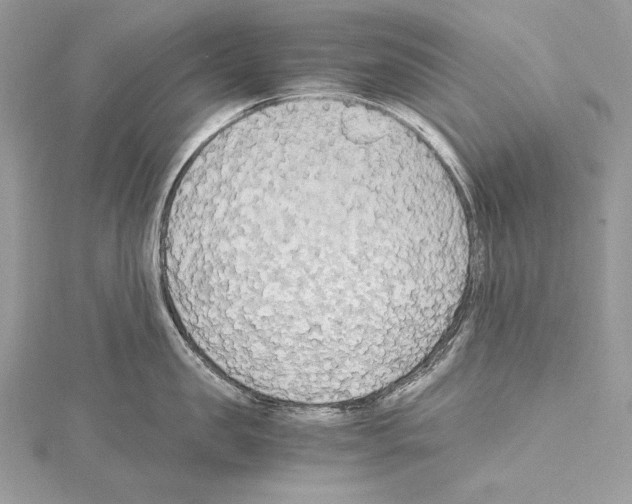 X0000114680957200912021112