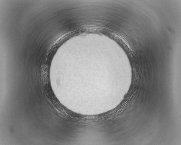 X0000114680968200912021111
