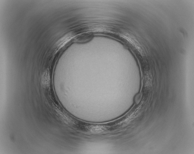 X0000114680969200912021111