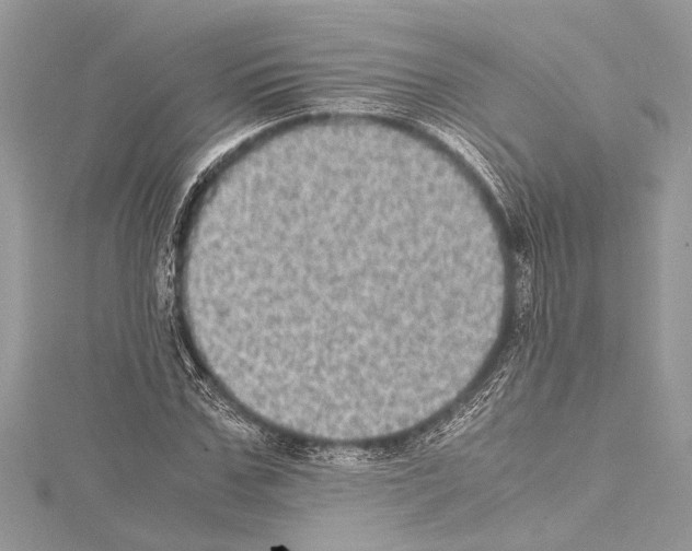 X0000114680971200912021111
