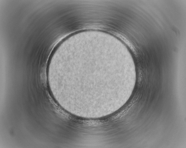 X0000114680980200912021111
