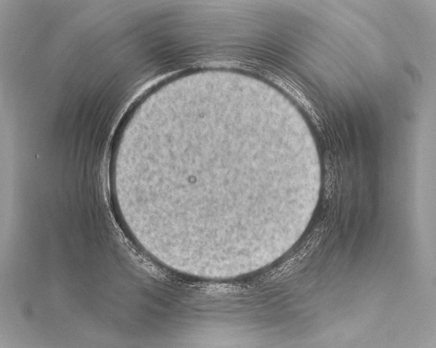 X0000114680984200912021111