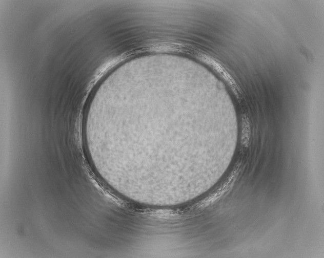 X0000114680986200912021111