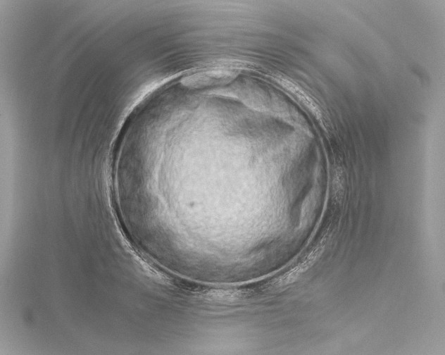 X0000114680989200912021111