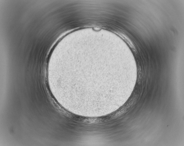 X0000114681000200912021111