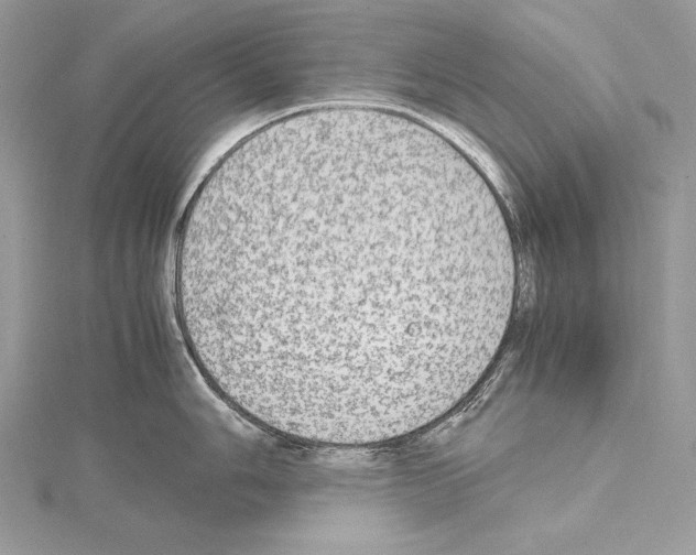 X0000114681006200912021111