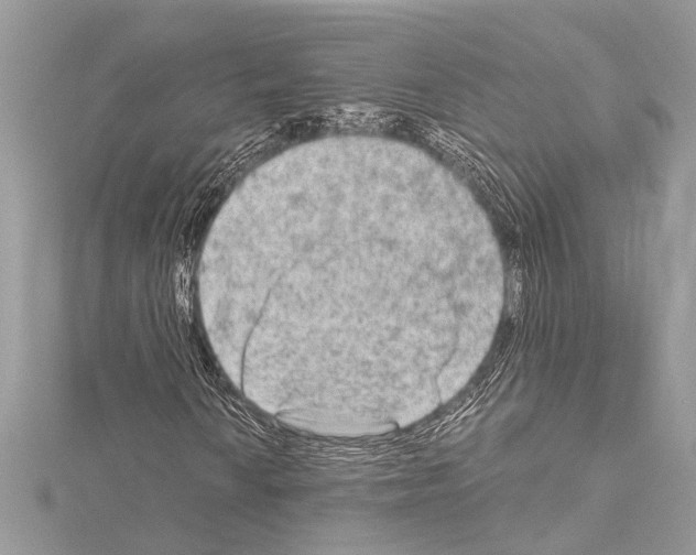 X0000114681010200912021110