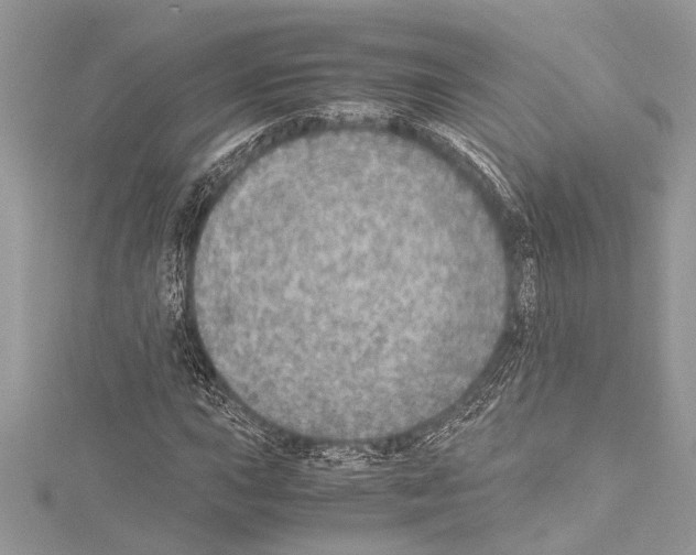 X0000114681015200912021110