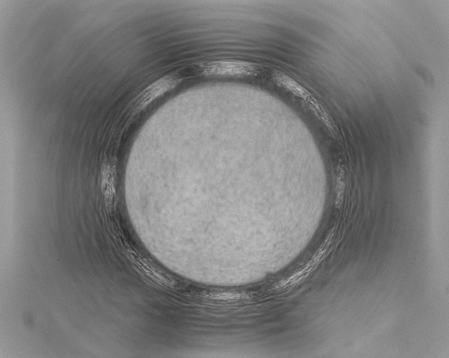 X0000114681017200912021110