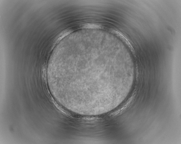 X0000114681041200912021110