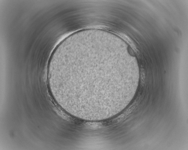 X0000114681044200912021110