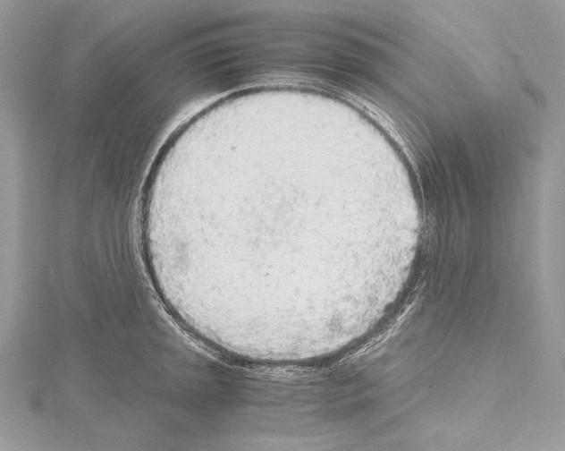 X0000114681045200912021110