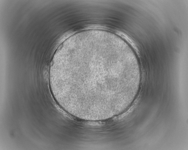 X0000114681049200912021111
