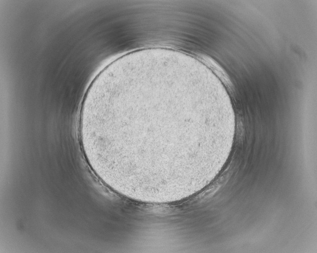X0000114681052200912021111