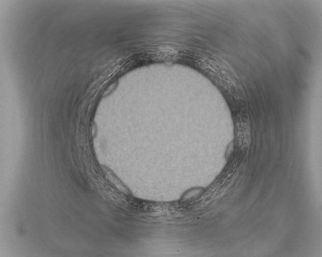 X0000114681057200912021110