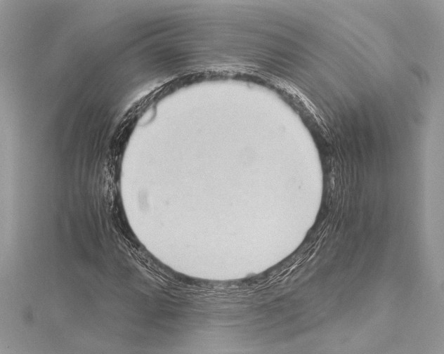 X0000114681064200912021110
