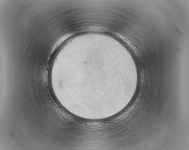 X0000114681066200912021110
