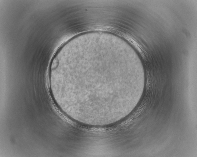 X0000114681080200912021110
