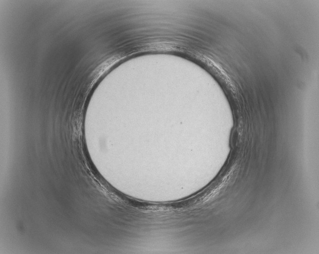 X0000114681081200912021110