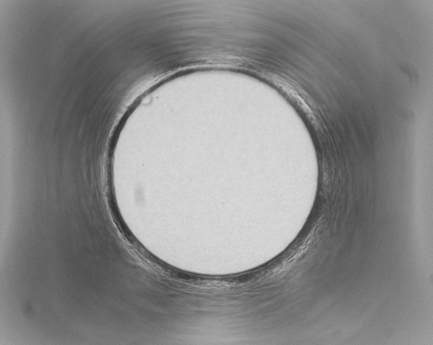 X0000114681085200912021110