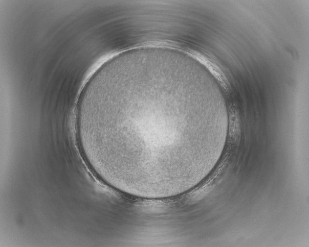 X0000114681094200912021110