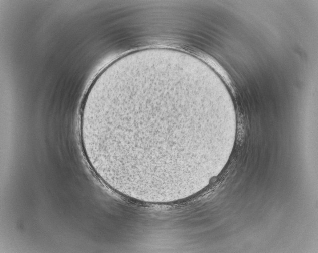X0000114681096200912021109