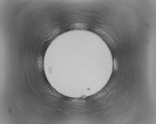 X0000114681107200912021109