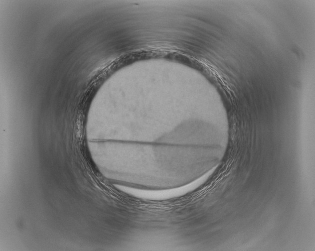 X0000114681110200912021109