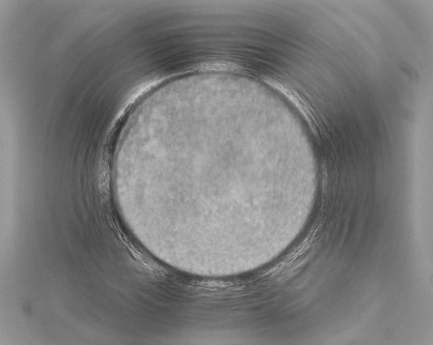 X0000114681115200912021109