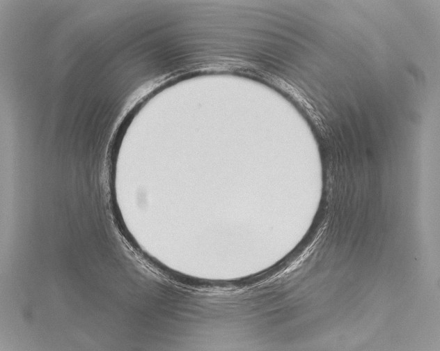 X0000114681122200912021109