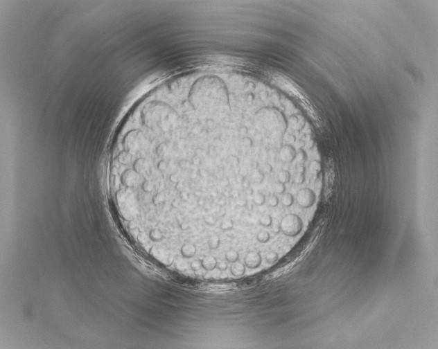 X0000114681130200912021109