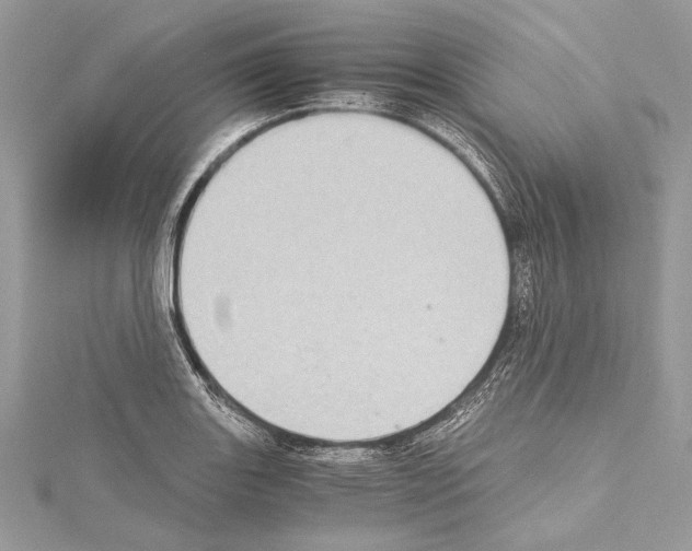X0000114681131200912021109