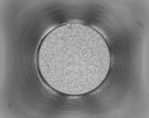 X0000114681135200912021109