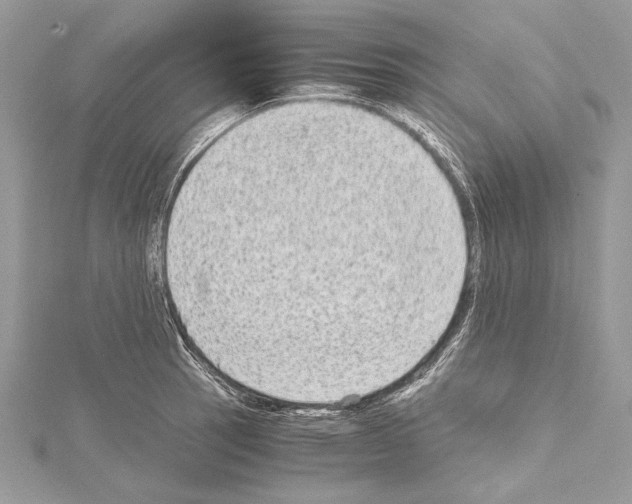 X0000114681137200912021109