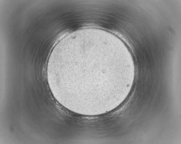 X0000114681145200912021109