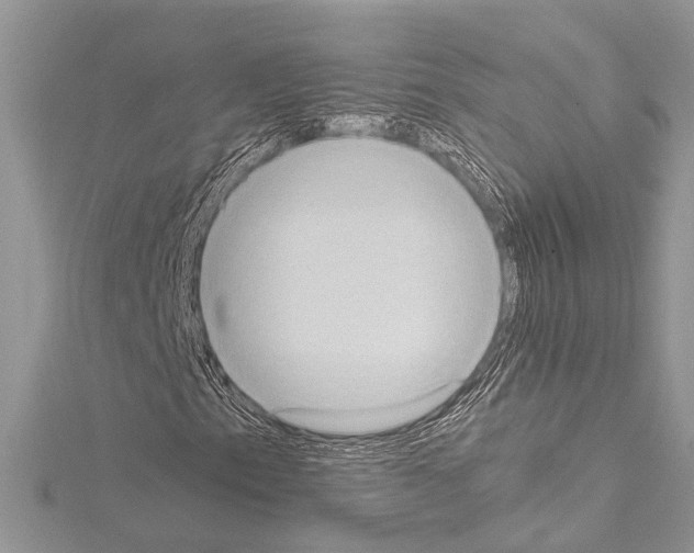 X0000114681153200912021109