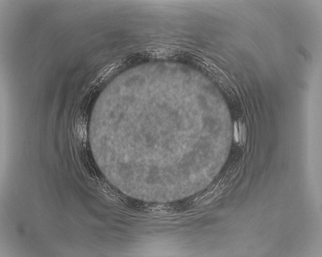 X0000114681155200912021109