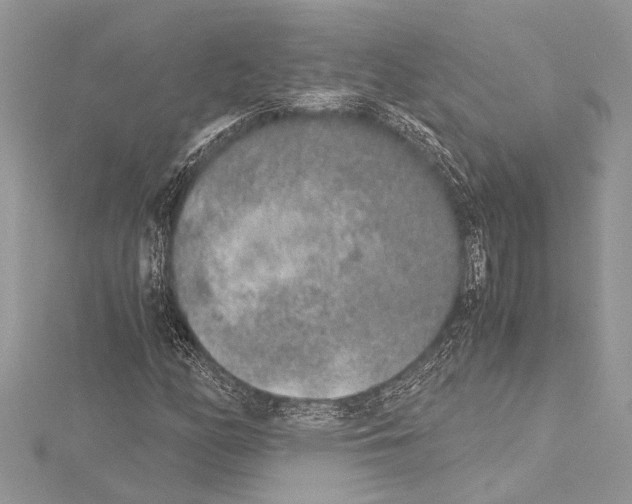 X0000114681158200912021109