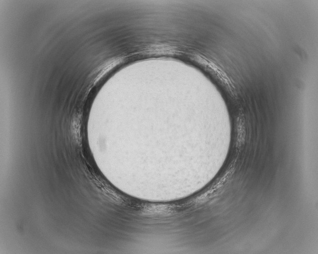 X0000114681162200912021109