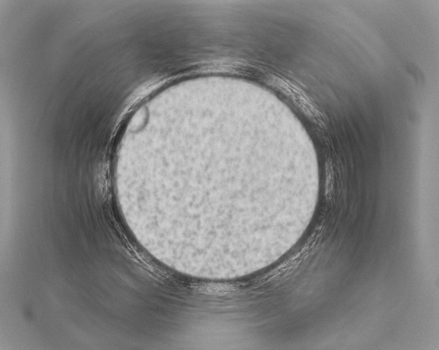 X0000114681164200912021109