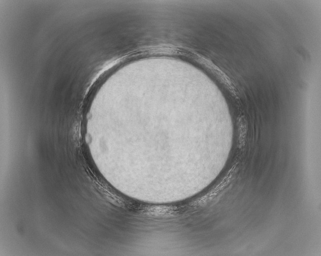 X0000114681166200912021109