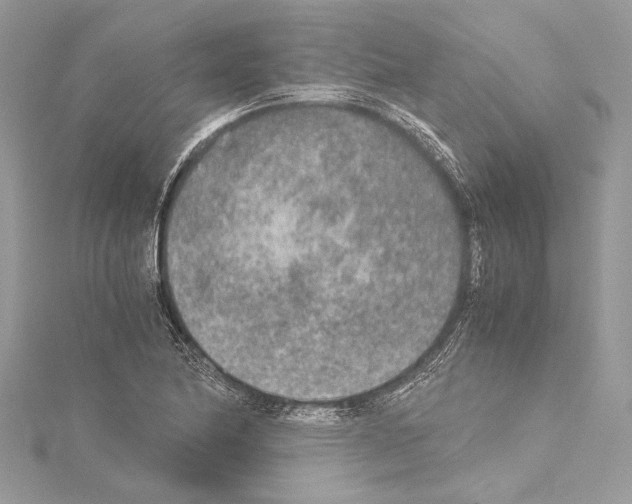 X0000114681174200912021108