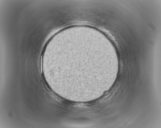 X0000114681175200912021108