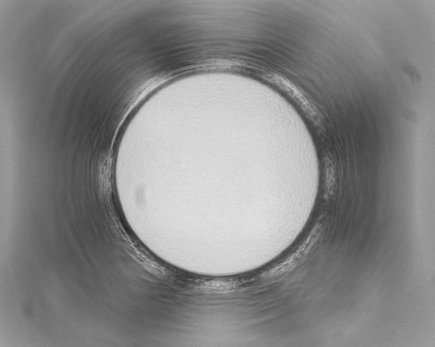 X0000114681178200912021108