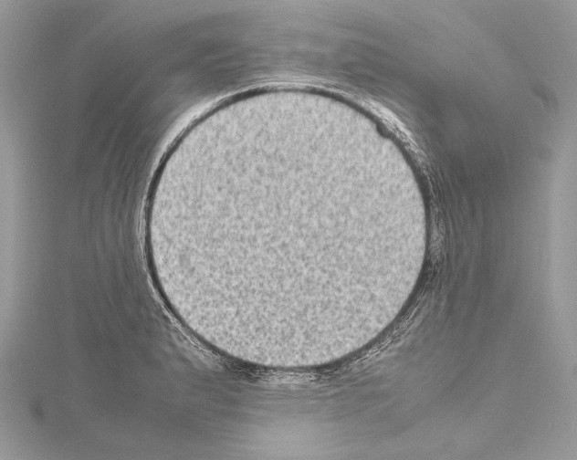 X0000114681183200912021108