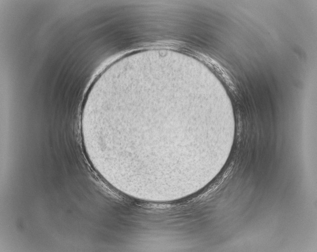 X0000114681184200912021108