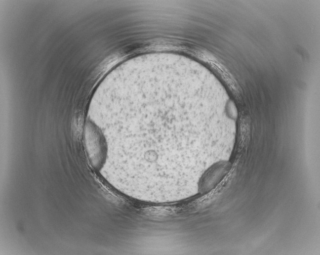 X0000114681185200912021108